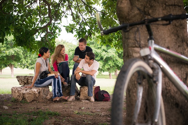 Young students doing homework in college park