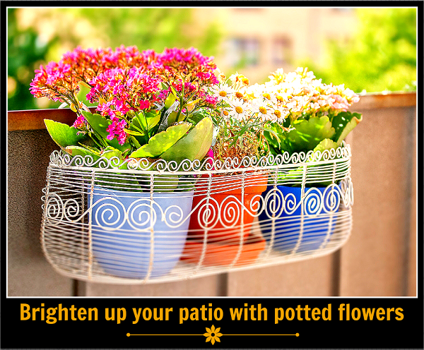 Brighten Up Your Patio With Potted Flowers