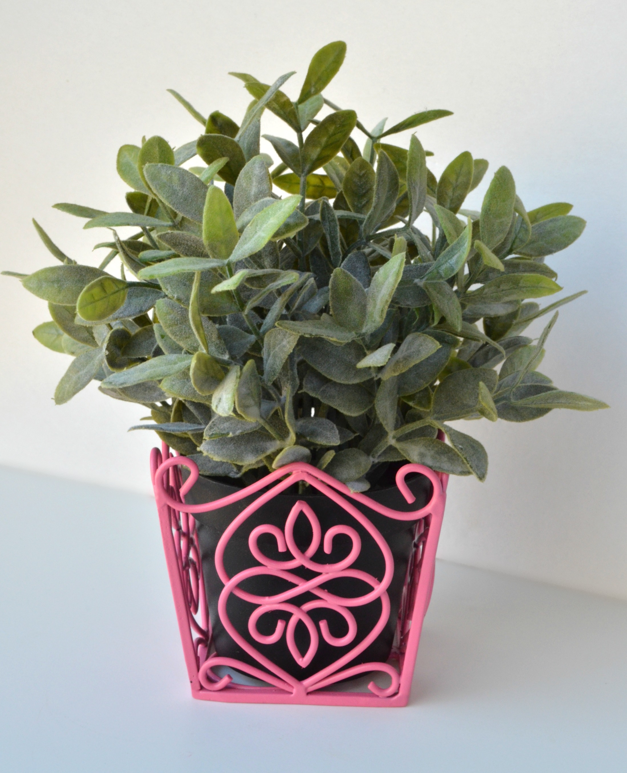 Decorative Planters in Home Décor