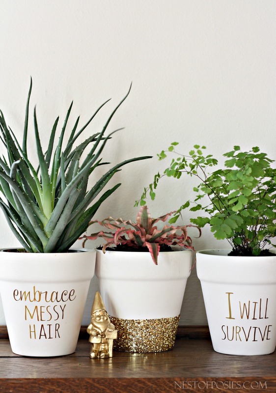 ForRent.com DIY potting ideas for houseplants