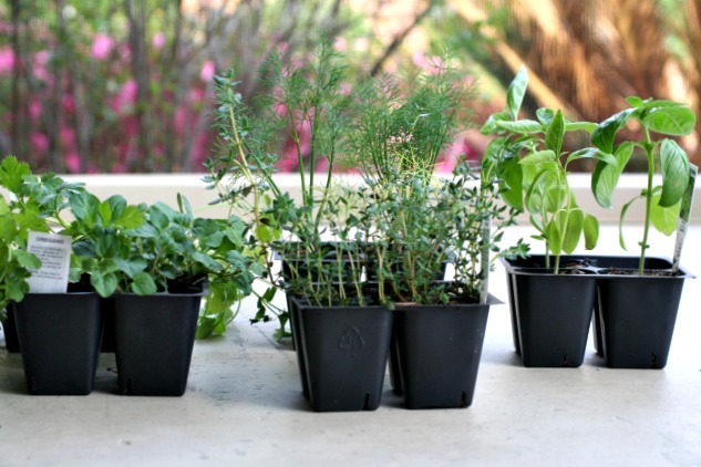 ForRent.com - Use plants that come in groups of 4.