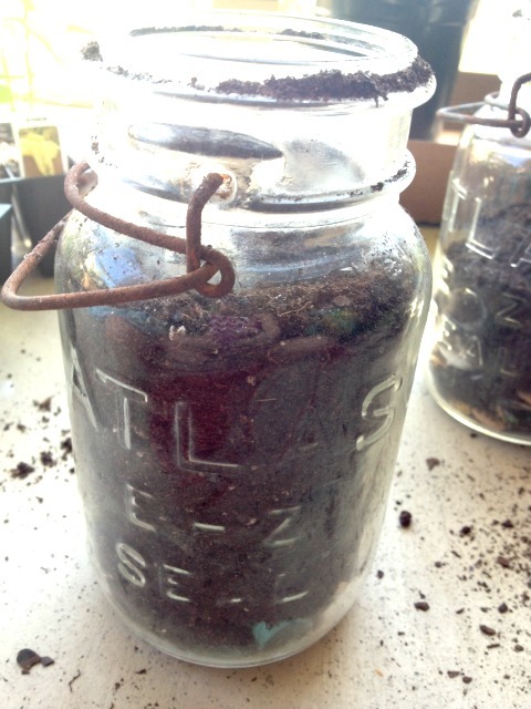 ForRent.com - Fill the jar with soil before planting.