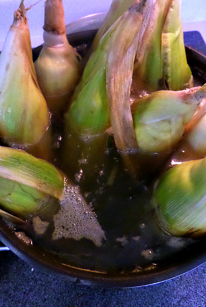 Soaking Corn-ForRent.com