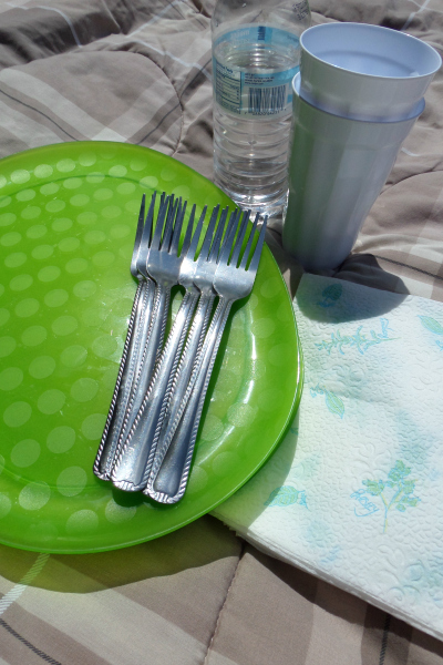 Utensils And Plates For Picnic-ForRent.com