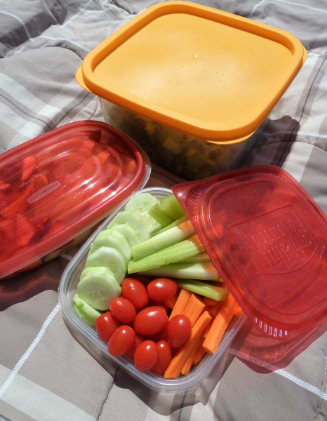 Vegetables In Resealable Containers Picnic-ForRent.com