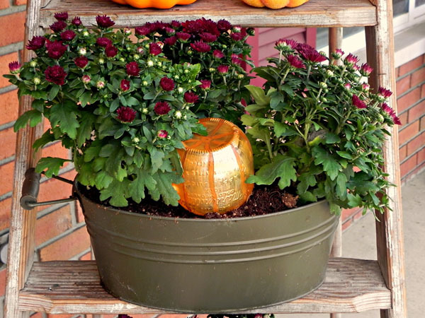 Fall Wreath Fall Mums ForRent.com