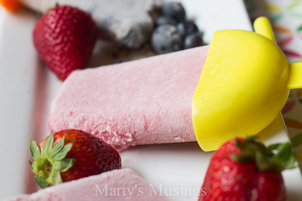 Smoothie Popsicle for Summer ForRent.com