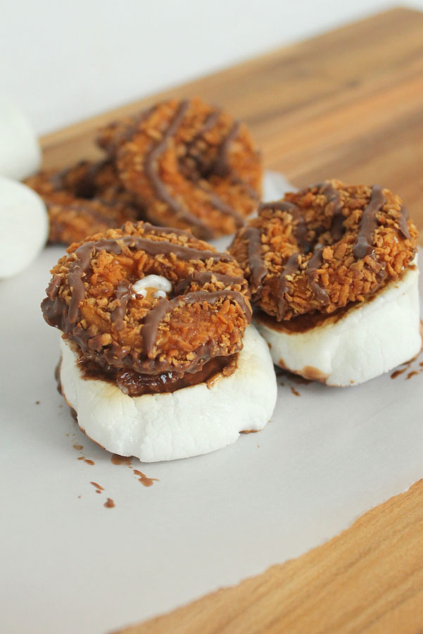 smores 5 ways girl scouts cookies ForRent.com