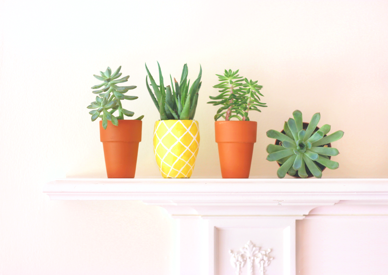 ForRent.com - Trending Decor: Pineapples