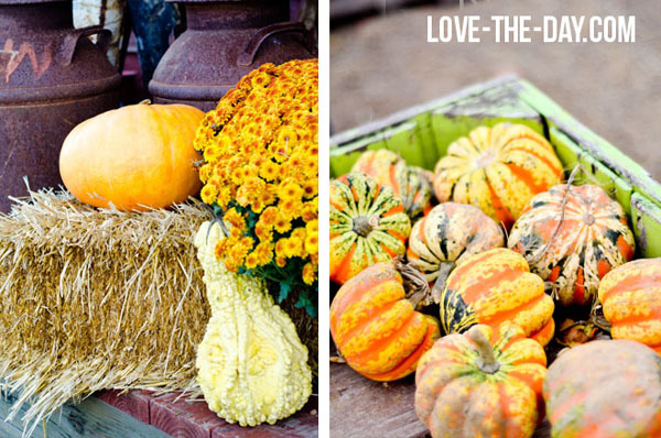 Happy Harvest for Fall-ForRent.com