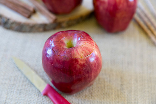 Cozy up this fall with a cup of easy homemade citrus apple cider in an edible apple cup and cinnamon drink stirrer!