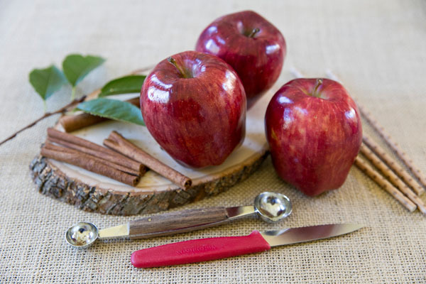 Cozy up this fall with a cup of easy homemade citrus apple cider in an edible apple cup and cinnamon drink stirrer!