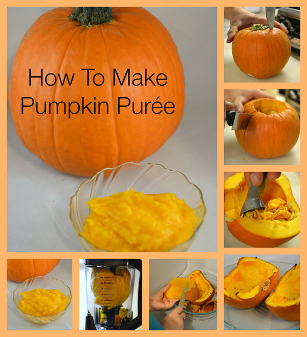 How To Make Pumpkin Puree ForRent.com