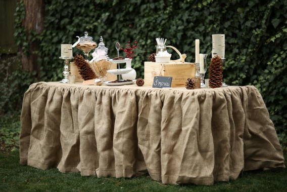 Rustic and woodland inspired s'mores bar setup