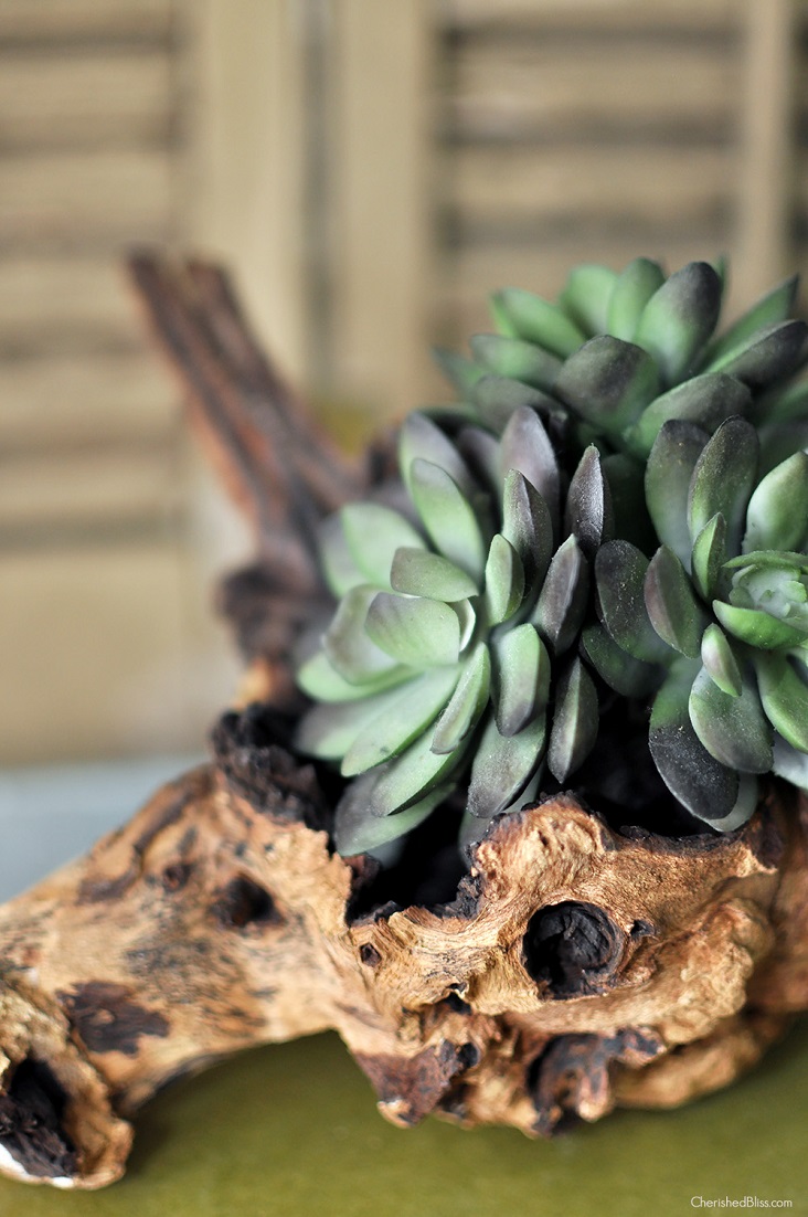 2016 Trends Succulent Planter