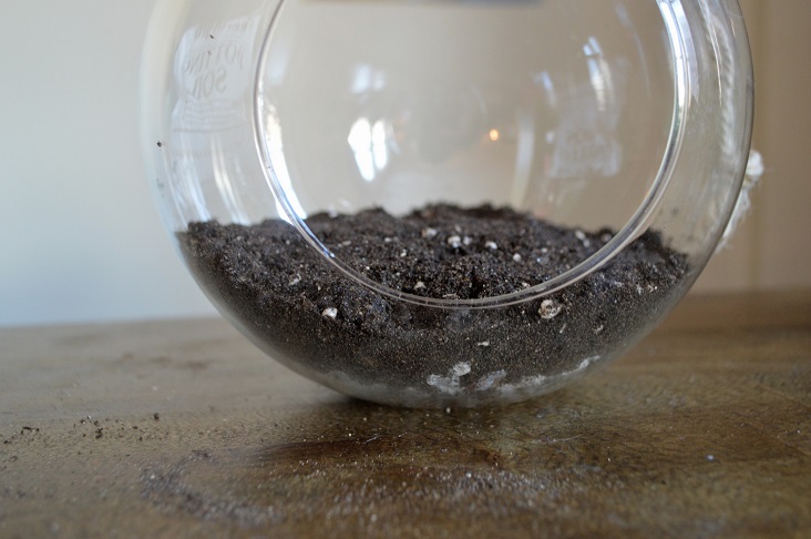 Terrarium Soil