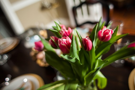 Gorgeous Easter Tulips