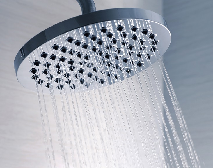 Bathroom Hacks for Rental_shower head