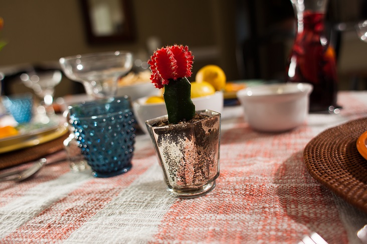 Cinco de Mayo Tablescape 05