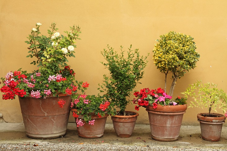 Balcony Flower Pots