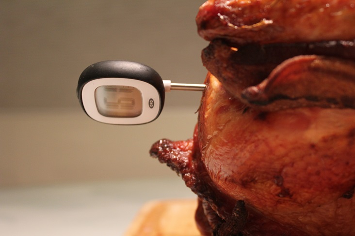 Condensed Kitchen Thermometer