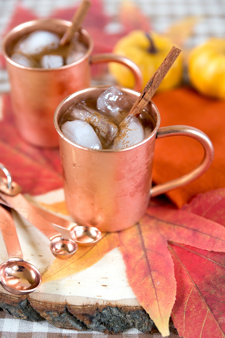 pumpkin-spice-moscow-mule-3