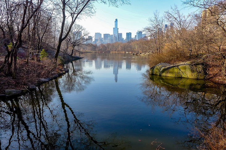 NYC - Central Park Pond