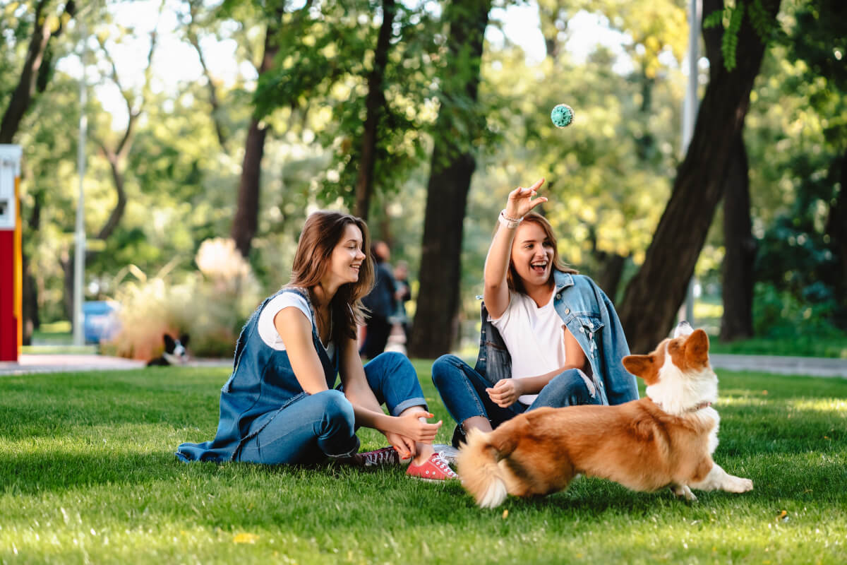 Renters play with dog in park near their apartment. 