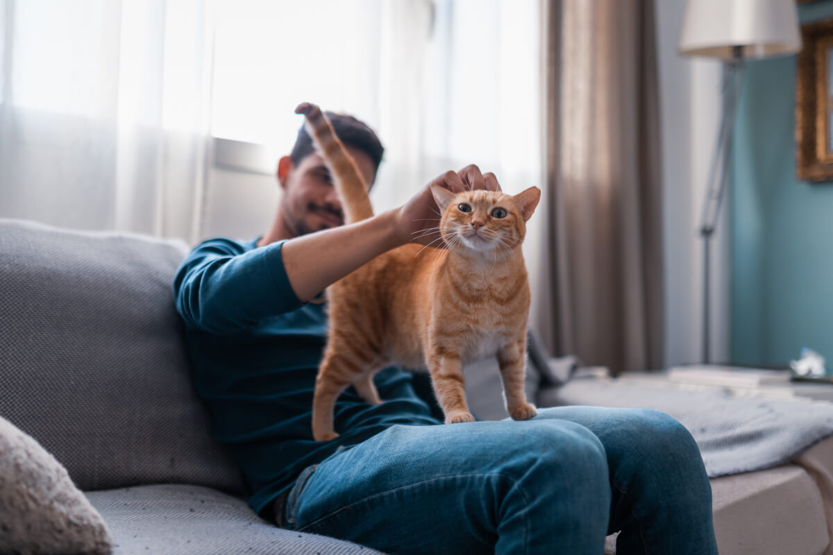 Renter relaxes on couch with his cat. 